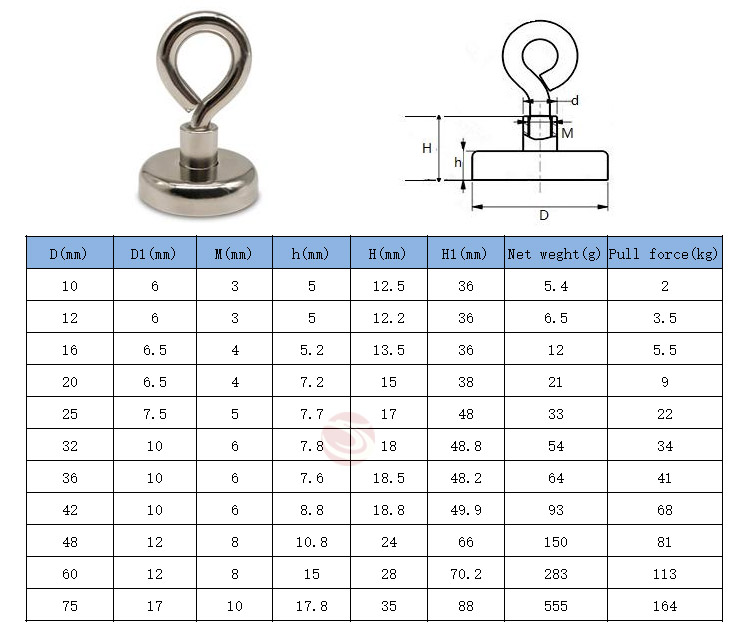 Eyebolt Fishing Magnetic